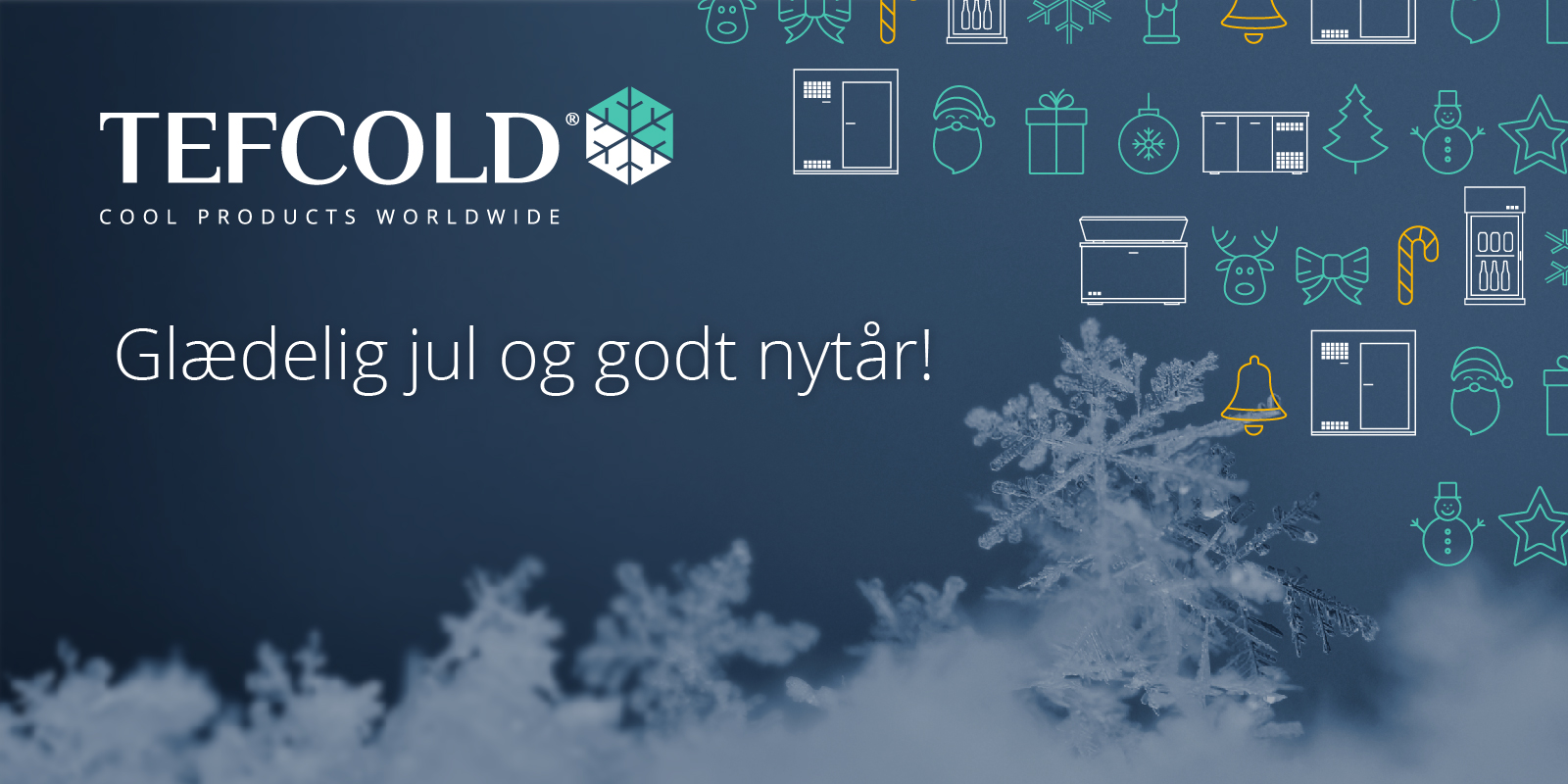 Glædelig jul og godt nytår!